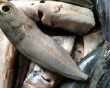 Foto langkah ke 1 dari resep Ikan kembung kuah kuning.