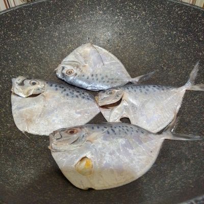 Langkah 6