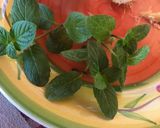 Foto del paso 2 de la receta: Limonada sin azúcar con mentas y jengibre 🫚