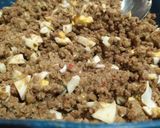 Foto del paso 1 de la receta: Empanadas al horno (carne picada magra)