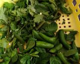 ચટણી(Chutney Recipe in Gujarati) રેસીપી સ્ટેપ1ફોટો