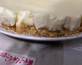 Foto del paso 5 de la receta: Tarta de queso fría