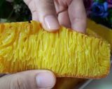 Foto langkah ke 7 dari resep BIKA AMBON // TANPA MIXER //.
