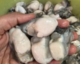 Hình bước làm 1 của món Hàu sữa sốt trứng kiểu Malaysia