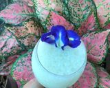 รูปขั้นตอนการทำที่ 2 ของ สมูทตี้ลิ้นจี่โยเกิร์ต [Lychee yogurt smoothie]