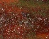 Une image de l'étape 2 de Saumon gravlax à la vodka et betterave.