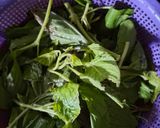 Gambar langkah 2 resipi Ayam daun selasih.