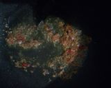 Foto langkah ke 2 dari resep Seblak Ekonomis.