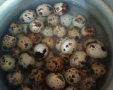 Foto langkah ke 1 dari resep Opor Telur Puyuh.