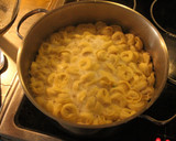 Foto del paso 10 de la receta: Tortelinis salsablanqueados, con berenjena frita