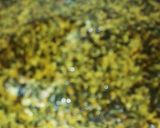 A picture of step 6 of Afan mi soup.