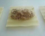 Foto del paso 10 de la receta: Canelones de carne picada de cerdo y de ternera