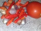 Plecing kangkung
