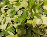 Foto langkah ke 1 dari resep Jangan Menir Daun Kelor.