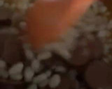 Foto del paso 9 de la receta: Mongetes de Girona con chorizo, en 10’
