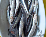 Foto del paso 1 de la receta: Boquerones a la plancha con majado Urrutia y brotes de cebolleta