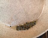 麻婆豆腐的食譜步驟2照片