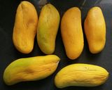 Gambar langkah 1 resipi Mango Shake.