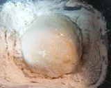 Foto del paso 3 de la receta: 1.Panettone de pasas y fruta escarchada