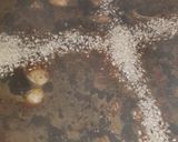 Foto del paso 10 de la receta: Arroz negro