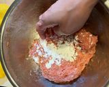 醬燉肉丸子的食譜步驟1照片