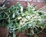 A picture of step 2 of Methi with brinjal.