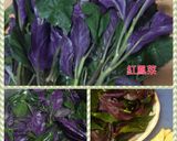 麻油炒紅鳳菜的食譜步驟1照片