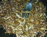 A picture of step 7 of Omena.