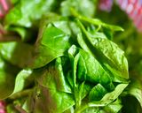 Hình bước làm 1 của món 🌱 Canh Mồng Tơi Nấu Mướp Hương & Nấm Kim Châm