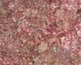 Foto del paso 1 de la receta: Canelones de carne picada o de soja