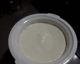 Foto del paso 5 de la receta Yogur griego casero