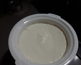 Foto del paso 5 de la receta: Yogur griego casero