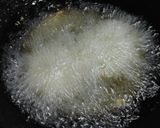 A picture of step 13 of Savoury Rice flour Rings.