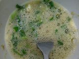 Martabak Telur Daun Bawang