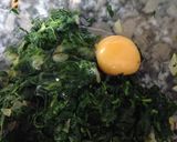 Foto del paso 4 de la receta: Hamburguesas de espinacas 