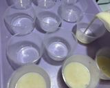 Foto langkah ke 3 dari resep Puding Kelapa Merah Putih.