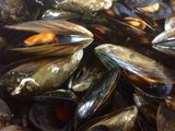 Mejillones en escabeche de cítricos 