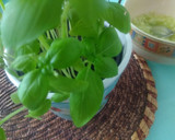 Foto del paso 1 de la receta: Ensalada de pepino y albahaca con agua de mar