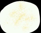 Foto del paso 6 de la receta: Msemen o Rghaif