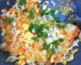 Foto langkah ke 3 dari resep Orak-arik Soun Sayuran.