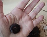 Foto del paso 3 de la receta: Mini galletitas de cacao alcalino natural