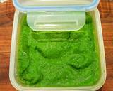 Mike's Garden Fresh Pesto Fettuccini recipe step 4 photo