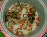Foto langkah ke 3 dari resep Nasi liwet teri magicom.