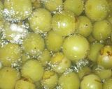 A picture of step 2 of Cordia myxa.