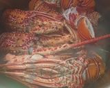 Foto langkah ke 1 dari resep Lobster Rebus Jahe.