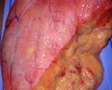 Foto langkah ke 1 dari resep Botok telur ikan.