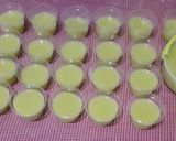 Foto langkah ke 3 dari resep Puding buah melon simpel.