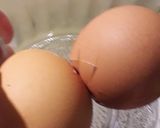 Foto del paso 1 de la receta Pascualina Perfecta!