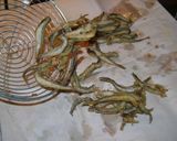 Foto del paso 9 de la receta: Fritada de cornalitos