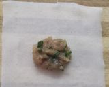 A picture of step 2 of Chicken wontons.
